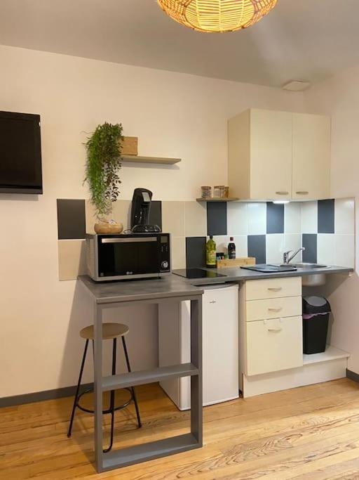 Studio Coquet Proche Gare Bourg-en-Bresse Esterno foto
